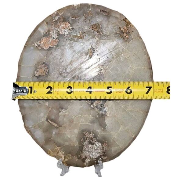 Tiger Rock Stone Art Artist Signed Hand Painted Oval Big Cat Decor Painting Flat - Picture 8 of 9